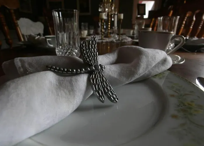 Dragonfly Hotel 3*