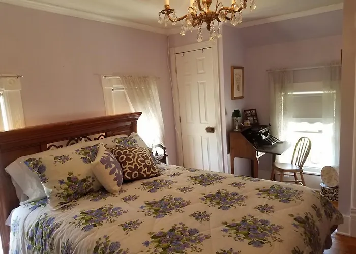 Dragonfly Hotel 3*